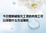 今日更新被拖欠工资的农民工可以采取什么方法维权