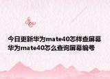 今日更新华为mate40怎样查屏幕华为mate40怎么查询屏幕编号