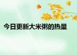 今日更新大米粥的热量
