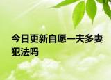 今日更新自愿一夫多妻犯法吗