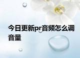 今日更新pr音频怎么调音量