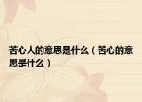 苦心人的意思是什么（苦心的意思是什么）