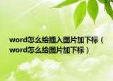 word怎么给插入图片加下标（word怎么给图片加下标）
