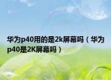 华为p40用的是2k屏幕吗（华为p40是2K屏幕吗）