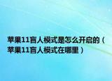 苹果11盲人模式是怎么开启的（苹果11盲人模式在哪里）