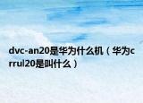dvc-an20是华为什么机（华为crrul20是叫什么）