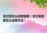 支付宝怎么设置加密（支付宝加密怎么设置方法）