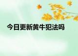 今日更新黄牛犯法吗