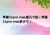 苹果11pro max是几寸的（苹果11pro max多少寸）