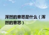 浑然的意思是什么（浑然的意思）