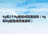 4g和2个8g能组成双通道吗（4g和8g能组成双通道吗）