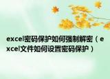 excel密码保护如何强制解密（excel文件如何设置密码保护）
