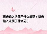 拼音输入法属于什么编码（拼音输入法属于什么码）
