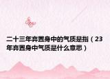 二十三年弃置身中的气质是指（23年弃置身中气质是什么意思）