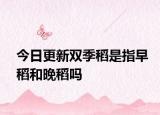 今日更新双季稻是指早稻和晚稻吗