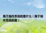 属于操作系统的是什么（属于操作系统的是）