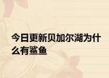 今日更新贝加尔湖为什么有鲨鱼
