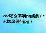 cad怎么保存jpg线条（cad怎么保存jpg）