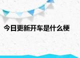 今日更新开车是什么梗