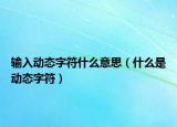 输入动态字符什么意思（什么是动态字符）