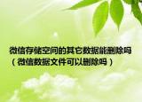 微信存储空间的其它数据能删除吗（微信数据文件可以删除吗）