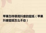 苹果怎样使用抖音的壁纸（苹果抖音壁纸怎么不动）