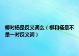柳对杨是反义词么（柳和杨是不是一对反义词）