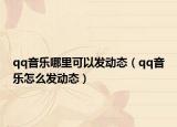 qq音乐哪里可以发动态（qq音乐怎么发动态）