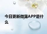 今日更新微蒲APP是什么