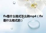flv是什么格式怎么转mp4（flv是什么格式的）