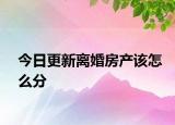 今日更新离婚房产该怎么分