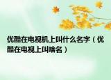 优酷在电视机上叫什么名字（优酷在电视上叫啥名）