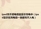 ipad充不进电但是显示充电中（ipad显示在充电但一直都充不入电）