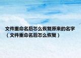 文件重命名后怎么恢复原来的名字（文件重命名后怎么恢复）