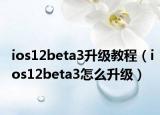ios12beta3升级教程（ios12beta3怎么升级）
