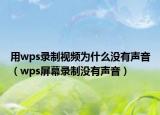 用wps录制视频为什么没有声音（wps屏幕录制没有声音）