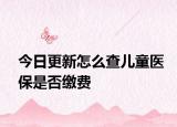 今日更新怎么查儿童医保是否缴费