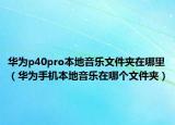 华为p40pro本地音乐文件夹在哪里（华为手机本地音乐在哪个文件夹）