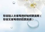 形容别人文章写得好如何赞美呢（形容文章写得好的赞美词）