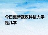 今日更新武汉科技大学是几本