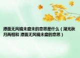 潭面无风镜未磨未的意思是什么（湖光秋月两相和 潭面无风镜未磨的意思）