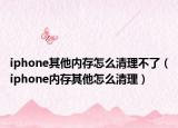 iphone其他内存怎么清理不了（iphone内存其他怎么清理）