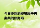 今日更新消费贷属于夫妻共同债务吗