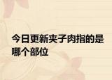今日更新夹子肉指的是哪个部位