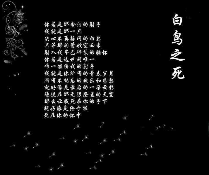 你知道白鸟之死背后的悲伤故事吗？