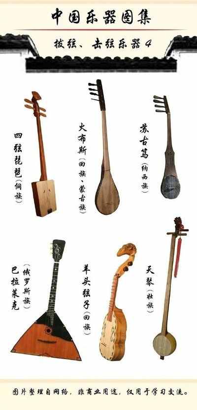 乐器种类大揭秘