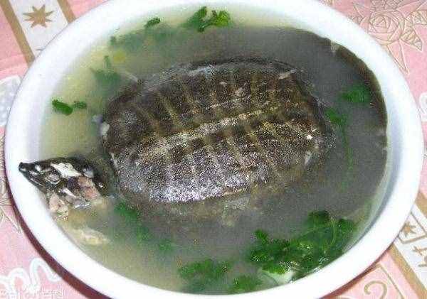 备孕时，吃这3样食物，能促进卵泡发育，或许能让你早一点怀上