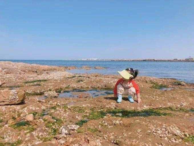 鲅鱼圈最强攻略——看完就出发