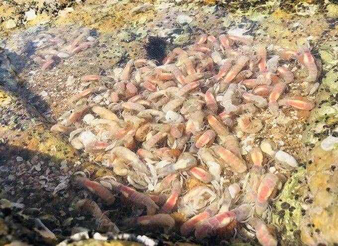 鲅鱼圈最强攻略——看完就出发