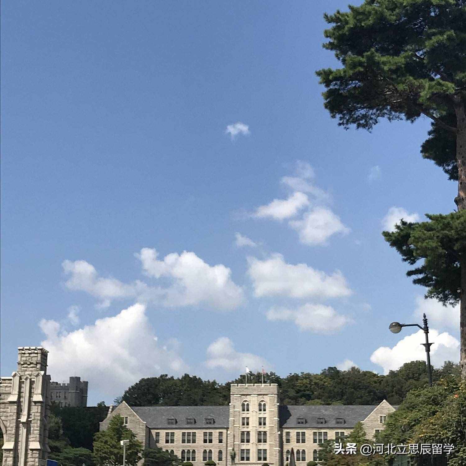 去韩国留学，不知道这些可不行